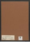 Synedra angustata Kuetz. (de-Toni-Nr.: Genus 66, Species 2639) Zeichnungen Sammlung Grunow Mappe 02843 (Herbarium_W_Grunow_drawings_Folder_02843)